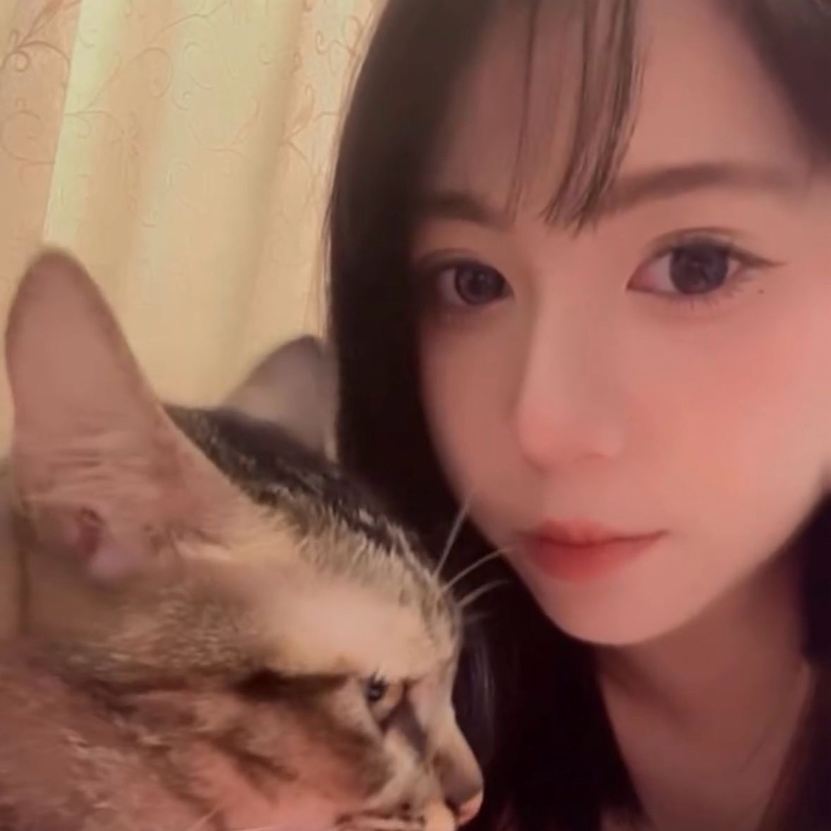 _xiaokui's avatar