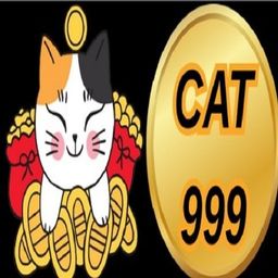 cat999dev's avatar
