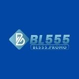 bl555promo's avatar
