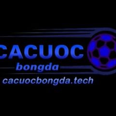 cacuocbongdatech's avatar