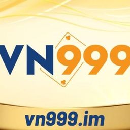 vn999im's avatar