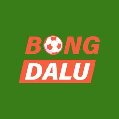 bongdaluthreehundred's avatar