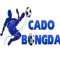 cacuocbong2025's avatar