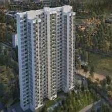 prestigeforestedge's avatar