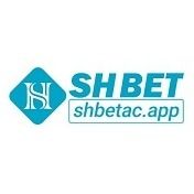 shbetacapp's avatar