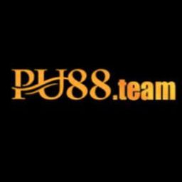 pu88team's avatar
