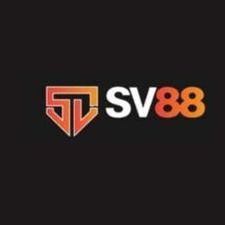 sv88airlines's avatar