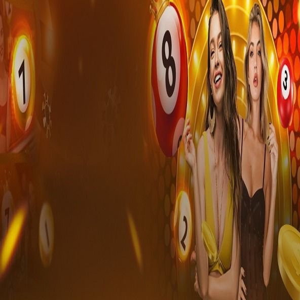soicaulodebet's avatar