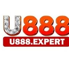 u888expert's avatar
