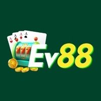 ev88la's avatar
