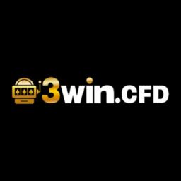 3wincfd's avatar