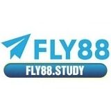 fly88study's avatar