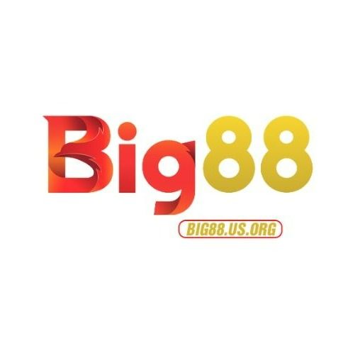 big88usorg's avatar
