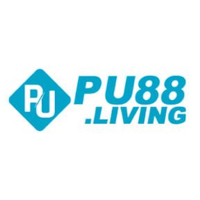 pu88living's avatar