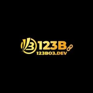 123b03dev's avatar