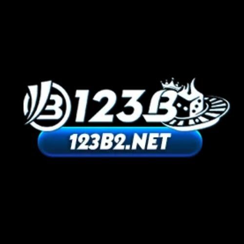 123b2net's avatar