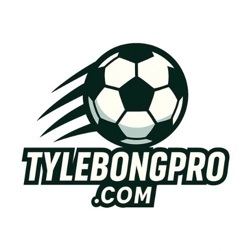 tylebongprocom's avatar