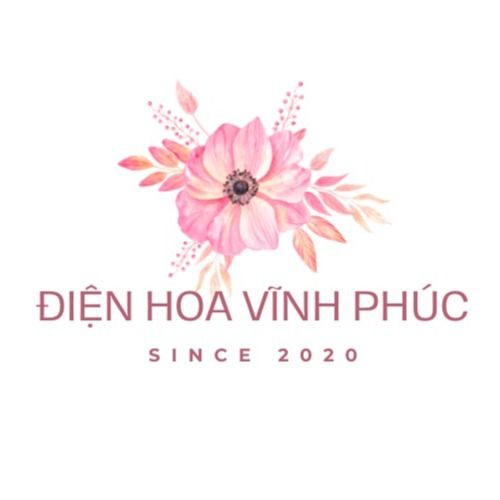 dienhoavinhphuc's avatar