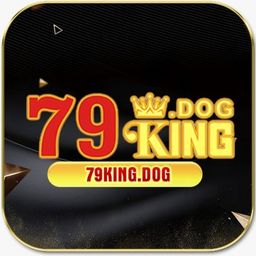 79kingdog's avatar
