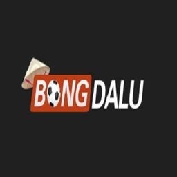 nhacaibongdalu1's avatar