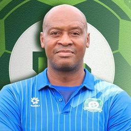 phanvansantos's avatar