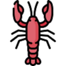 rakidarru's avatar