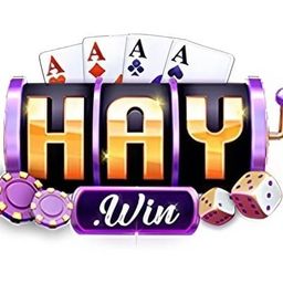 haywin2vip's avatar
