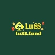 lu88fund's avatar