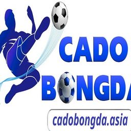 cadobongdaasia1's avatar