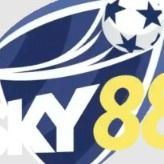 sky88cat's avatar