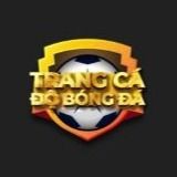 trangcdbdlive's avatar