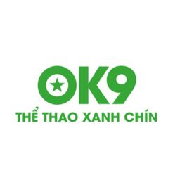 ok9vin's avatar