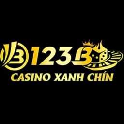 123b1net's avatar