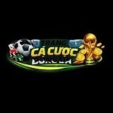 wwebcacuocuytin's avatar