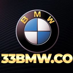 33bmwco's avatar