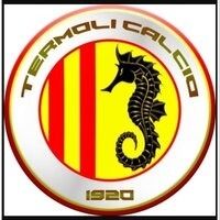 termolicalcio1920's avatar