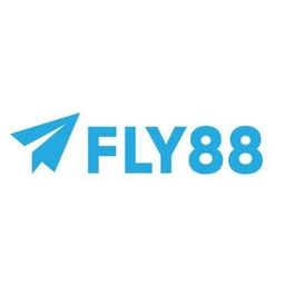 fly888io's avatar