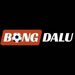 bongdaluimmo's avatar