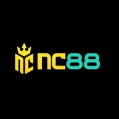 nc88aorg's avatar