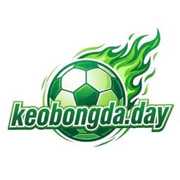 soikeobongdakeobongd's avatar