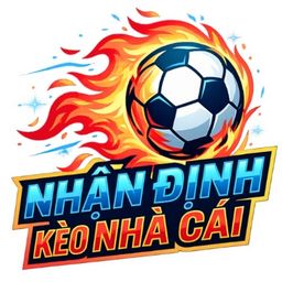 nhandinhnhacaicom's avatar
