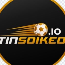 tinsoikeoio's avatar
