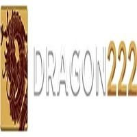 dragon222dev's avatar