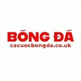 cacuocbongdacouk's avatar