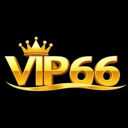 vip66coach's avatar