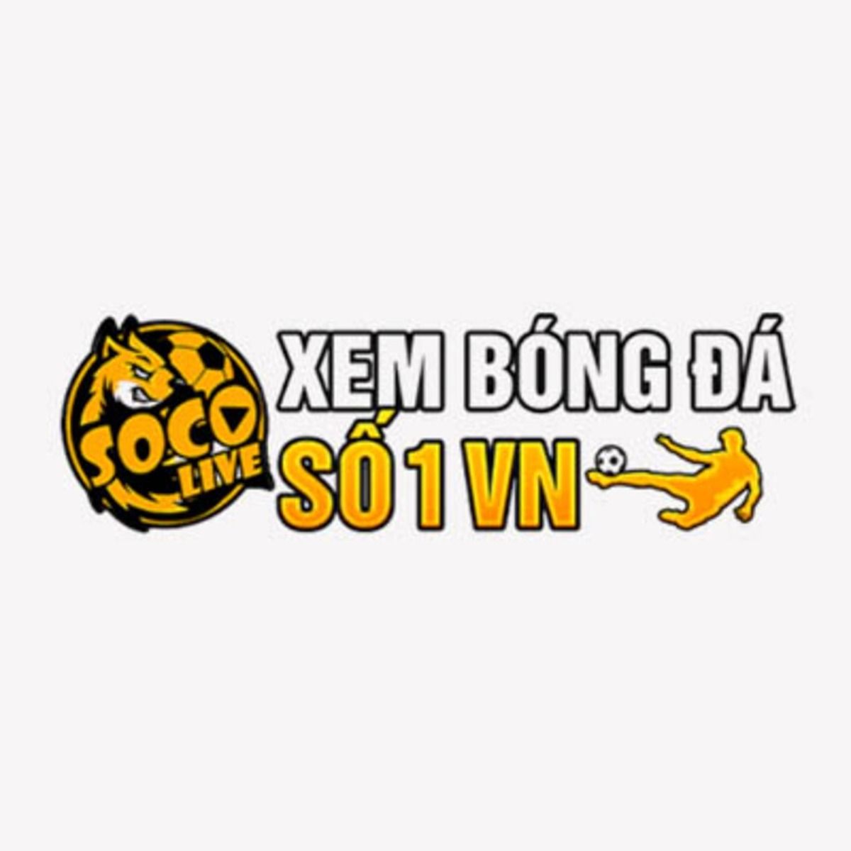 xembong24hlive's avatar