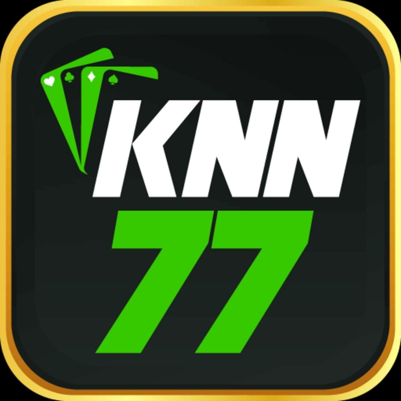knn77vip's avatar