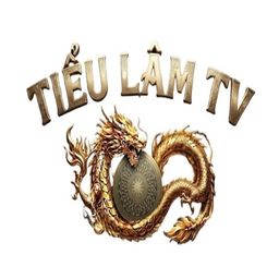 tieulamtvllc's avatar