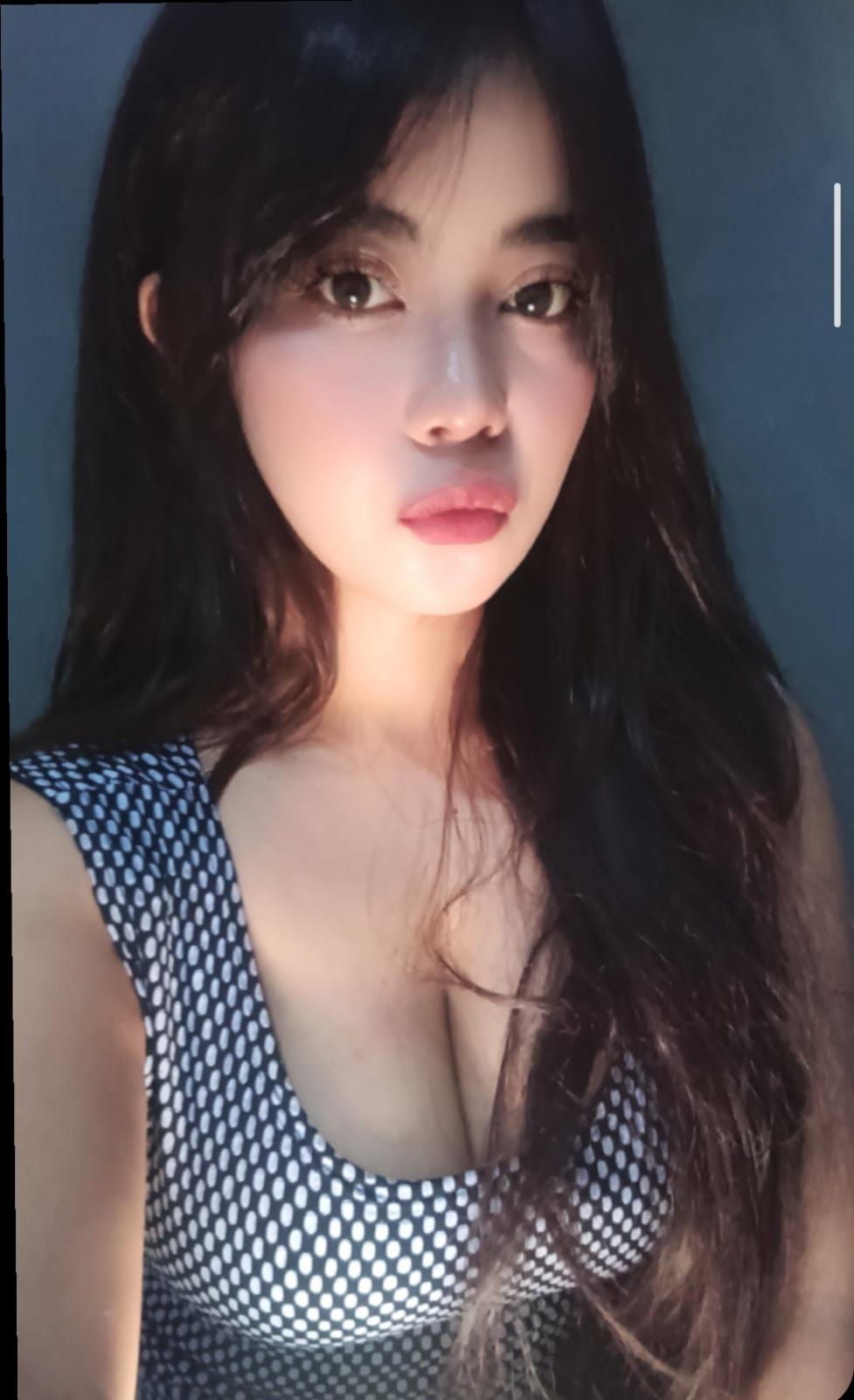 felia23's avatar