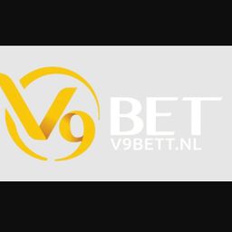 v9bettnl's avatar